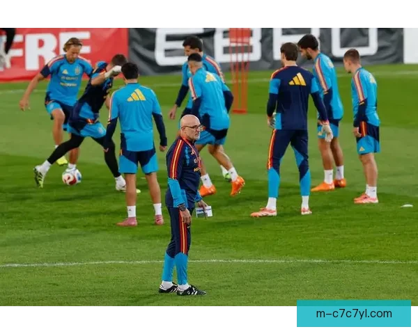 津门虎试训或留三将备战西班牙