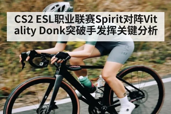 CS2 ESL职业联赛Spirit对阵Vitality Donk突破手发挥关键分析
